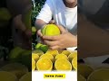 Amazing fruits   topvid point  shorts youtubeshorts trending viral