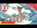 Bambi ii  thumpers little sisters  disney junior uk