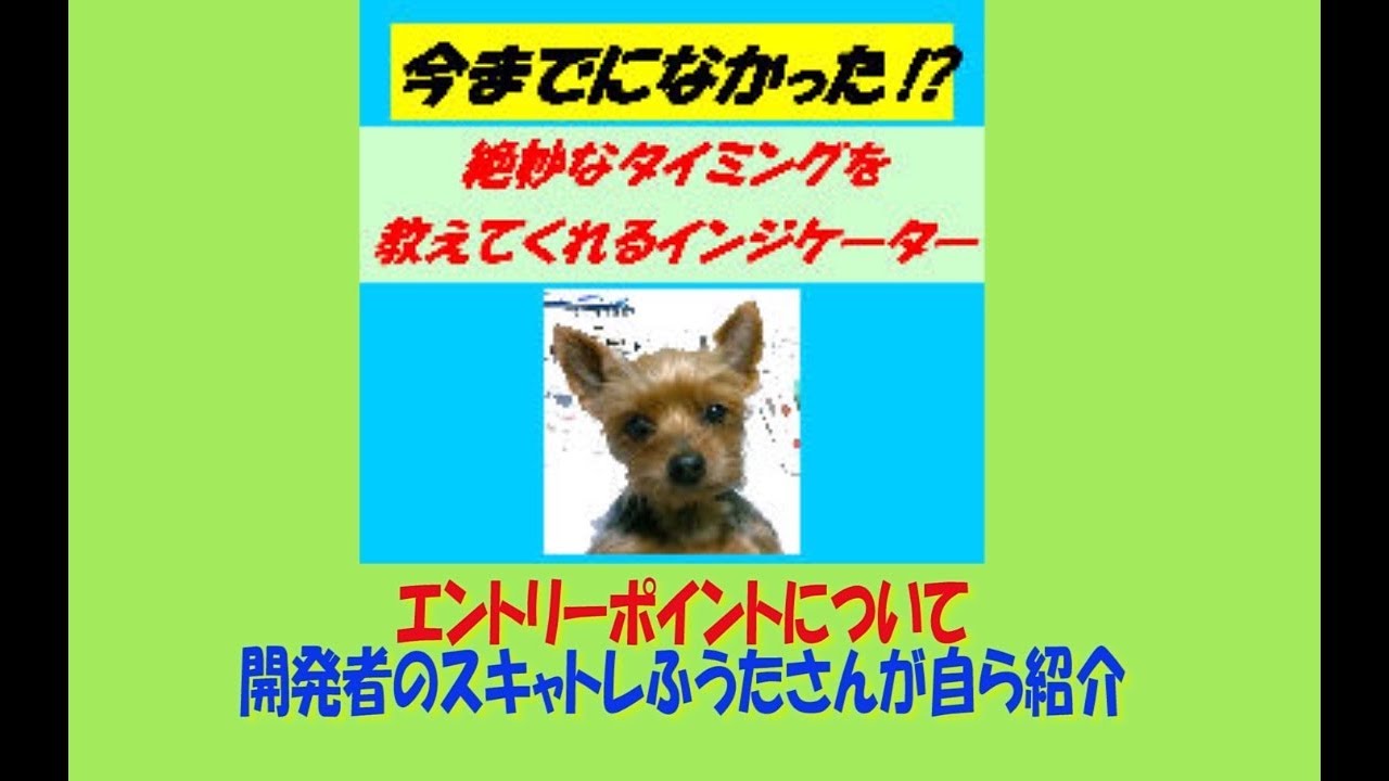 今までになかった！？絶妙なタイミングを教えてくれるインジケーター 