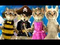 ПРИКЛЮЧЕНИЕ МАЛЕНЬКОГО КОТЕНКА - мультик для детей про котенка. Игровой мультфильм КИДА #пурумчата