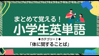 シリーズで覚える小学生英語＜２＞【体】まとめて覚えよう！