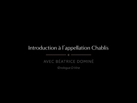 Introduction à l'appellation Chablis avec Béatrice Dominé