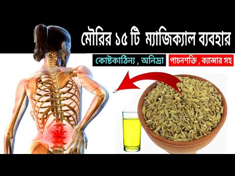 ভিডিও: কীভাবে মৌরি তৈরি করা যায়