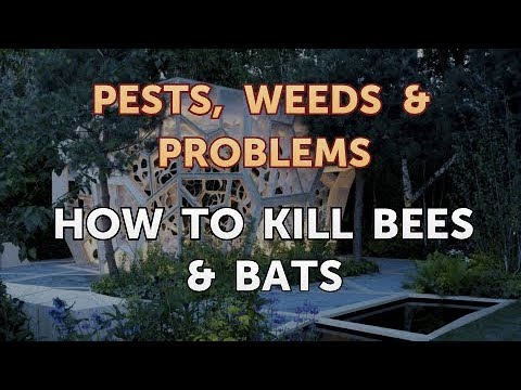 How to Kill Bees & Bats