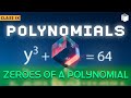 Zeroes of a Polynomial | Chapter 2 | Class 9 | PuStack