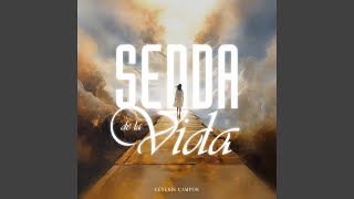 Download Lagu Senda de la Vida MP3