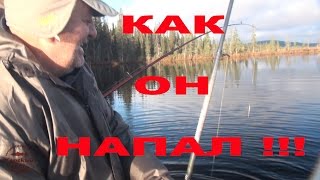 Как он напал ! Бредни на щучьей яме / Pikes attack. Rave over the pikes&#39; hole