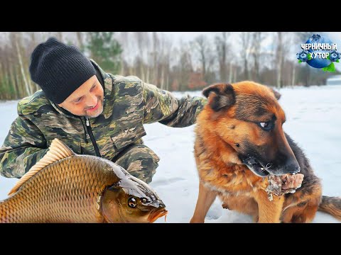 Лесной хутор ждёт оттепель. С этим соусом любая рыба станет вкусней, чем красная.