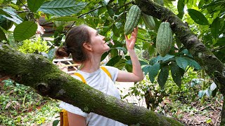 The Ultimate BAKER'S Guide in COSTA RICA | From Cacao to Chocolate