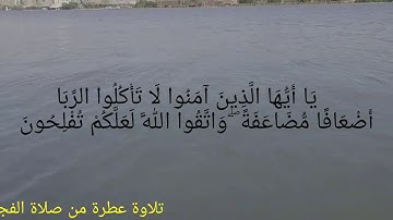 اصوات ملائكية تلاوة رائعة للشيخ بلال الزهيري صوت رائع  آيات الربا