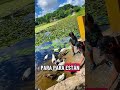 Datos Curiosos "Patos" #datoscuriosos #niños #elmundodejoseph #insectos #animals #aventura