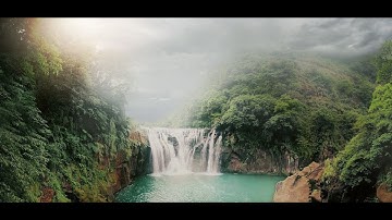 Enchanting Jungle Serenity - Ultimate Relaxation Music Video