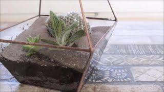 ♛ DIY ✅ FLORARIUM WITH YOUR OWN HANDS 👍 MASTER CLASS ★ ФЛОРАРИУМ СВОИМИ РУКАМИ ★ МАСТЕР-КЛАСС ★