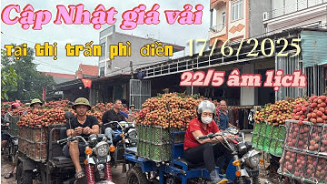 Giá Vải Hôm Nay 17/6/2025 Tại Cầu Chét Phì Điền Lục Ngạn Bắc Giang #vaithieulucngan #lụcnganquetoi