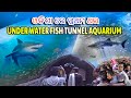 Under water fish tunnel aquarium   underwater aquariumfish animal natural