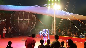 Xiếc - Thạch sanh, trăn khổng lồ