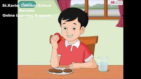 Class 4 Science Teeth and Microbes Animation Part 1