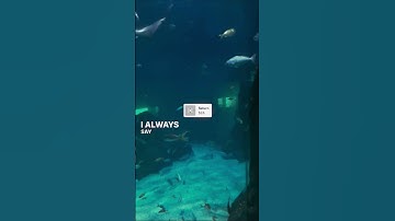 Saturn is such a good song 🎵 #shorts