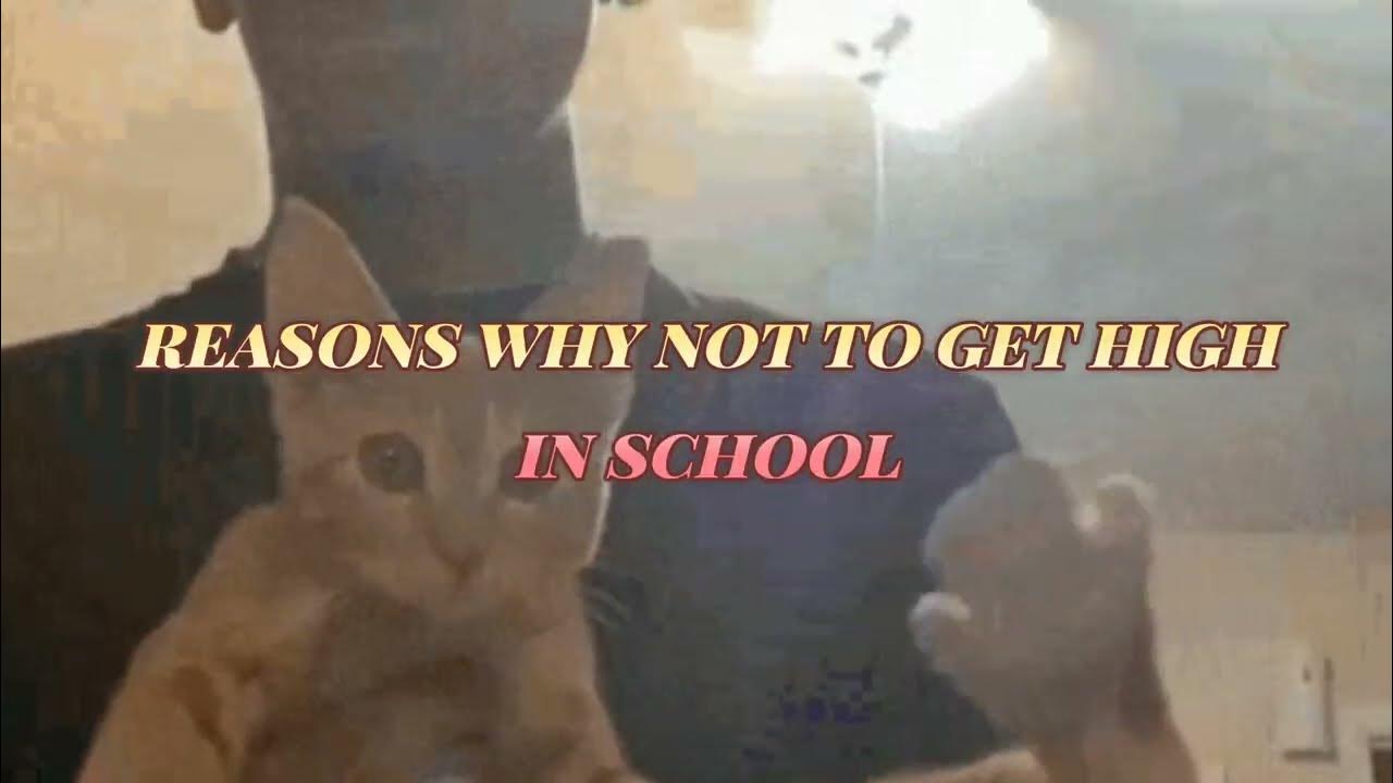 WHY YOU SHOULDNT GET HIGH IN SCHOOL YouTube