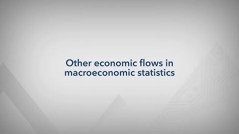Other economic flows in macroeconomic statistics