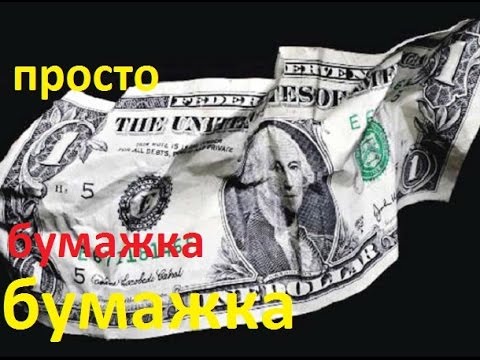 Корзинка скиви Фактрум
