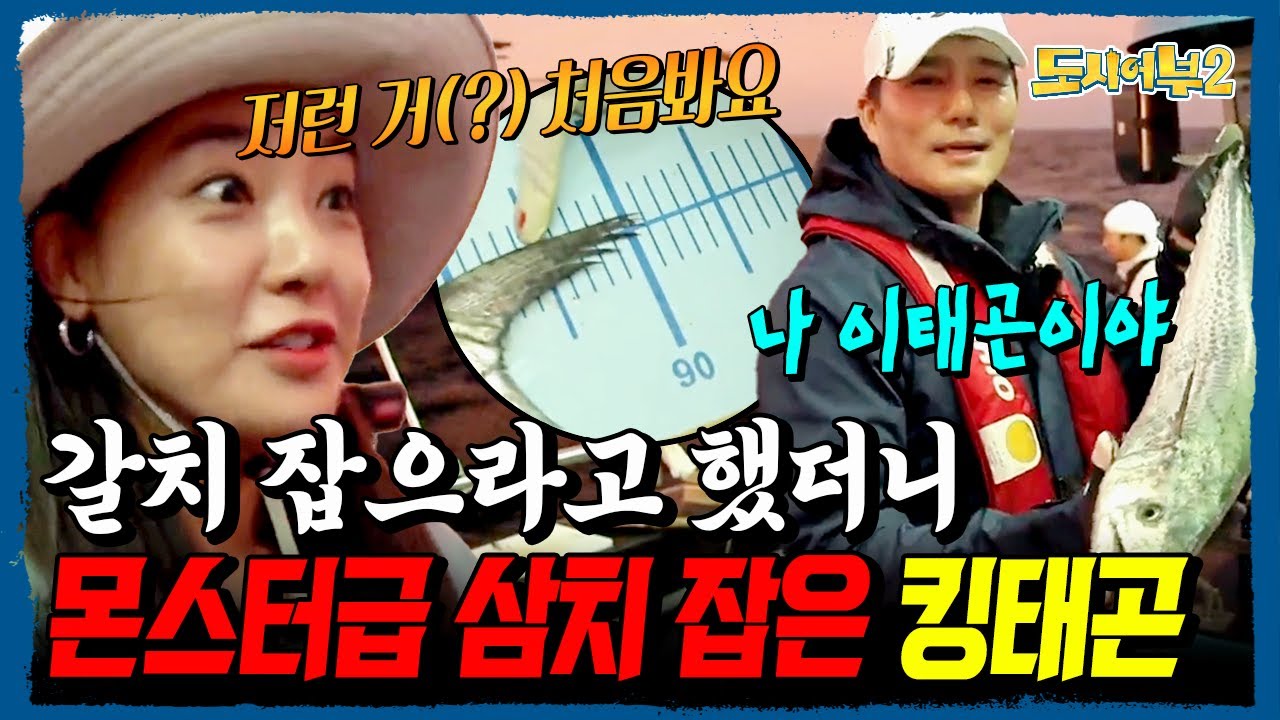 도시어부 대기록 탄생⚡ 갈치 88마리+괴물 삼치까지… 다 낚아버린 킹태곤의 재림🔥 | 도시어부2 43회
