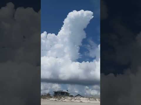 Video: Počasí a podnebí v Fernandina Beach na Floridě