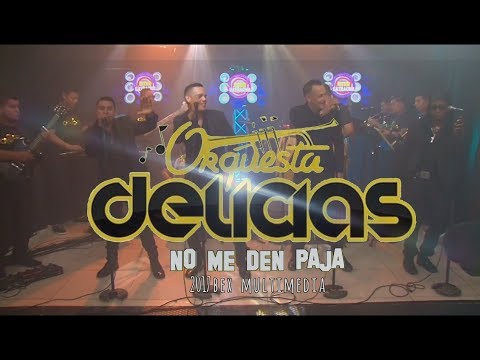 Video: Delicias más puras, espécimen más puro