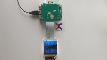 Raspberry Pi  2.9 inch 1440x1440 LS029B3SX04 Square IPS Display Mirror Wireless HDMI China