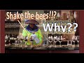 How to control Varroa mites naturally/Japansese honeybee expert Mana&#39;s beekeeping class