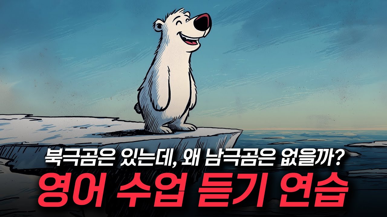 영어 듣기 연습 - 북극곰은 있는데, 왜 남극곰은 없을까? 🐻‍❄️🐻🤔