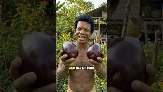 99% of Americans Buy Eggplant WRONG! Oval vs Dot Test #shorts