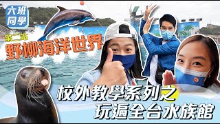 【校外教學系列】玩遍全台水族館-野柳海洋世界II 哇！人生第一 ... 