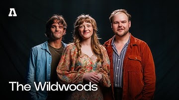 The Wildwoods on Audiotree Live (Full Session)