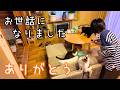 感謝の気持ちと旅立ちに向けて【犬と猫と北海道で田舎暮らし】