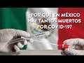 ¿Por qué en México hay tantos muertos por Covid-19?| Martha Debayle