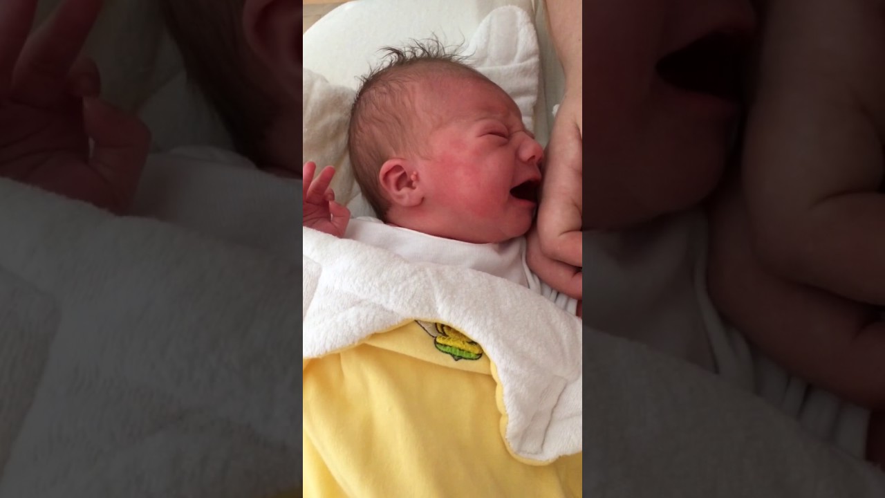 Baby 1 Tag Alt Baby 1 Tag Alt