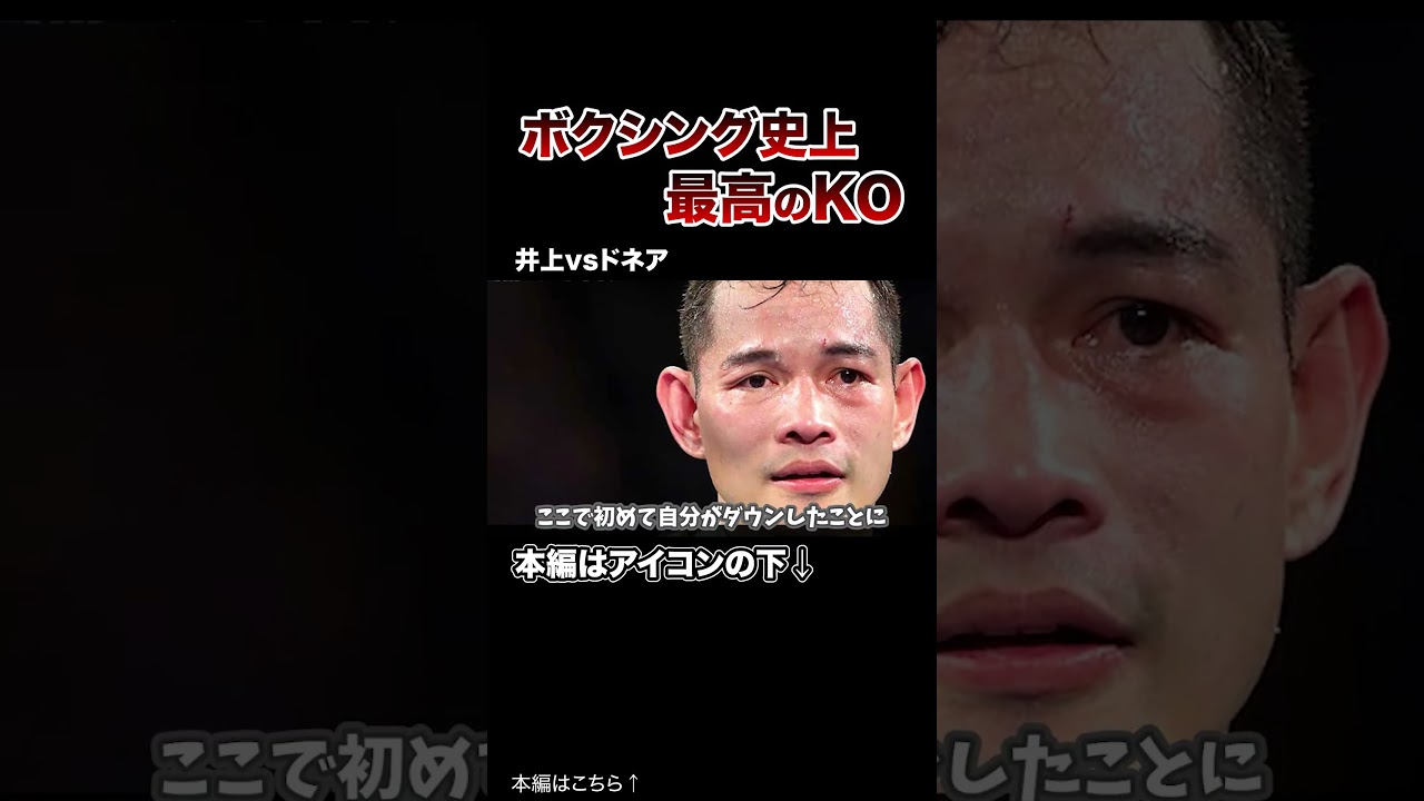 【世界が震撼】ボクシング史上最高のＫＯ劇がヤバすぎた…#格闘技 #ボクシング #MMA
