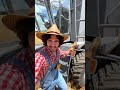 Central America farm tech update: this is wild