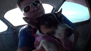 Crasha - The Skydiving Dog - Swoopware: Skydive
