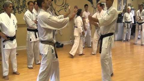 Dan Kumite   Brian and Geoff Full Speed