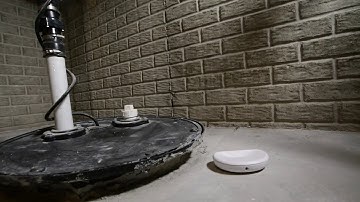 Leak Detector Placement