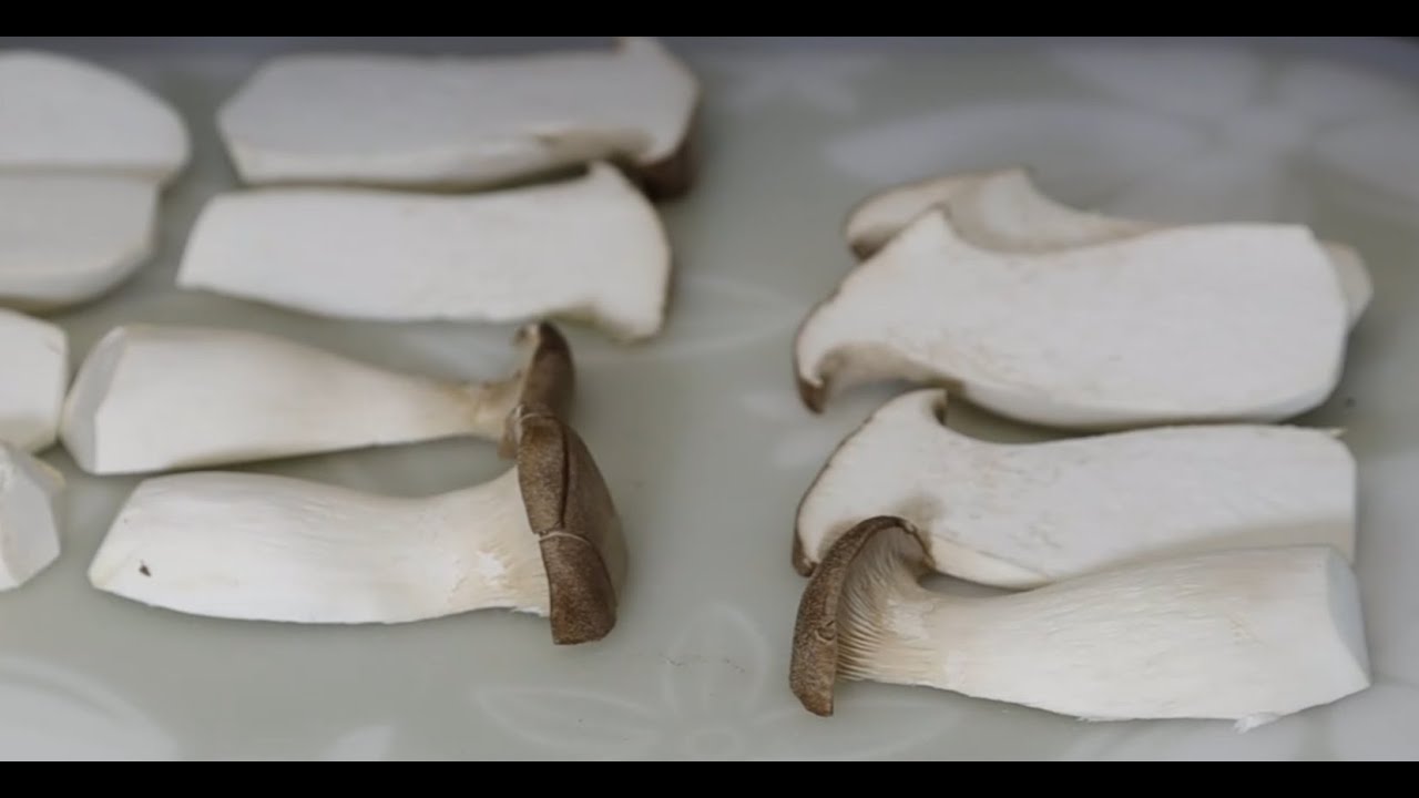 (Cooking) King Oyster Mushroom YouTube