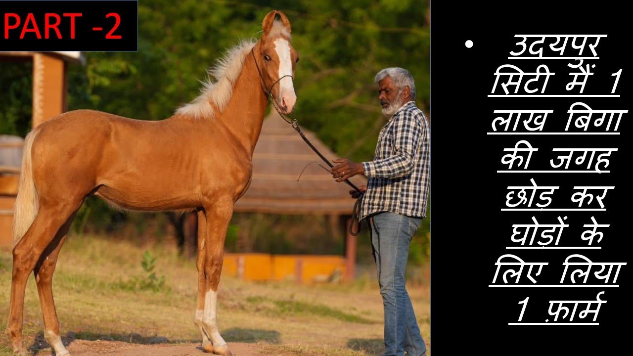 उदयपुर सिटी मैं 1 लाख बिगा की जगह छोड़ कर घोड़ों के लिए लिया 1 फ़ार्म||FARM TOUR KRISHNA RANCH||PART -2
