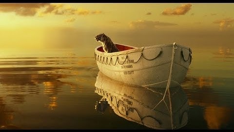 Top 10 Life of Pi Trivia