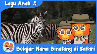 Belajar Nama Binatang di Safari Dengan Lagu Anak Balita | Coco dan Nana