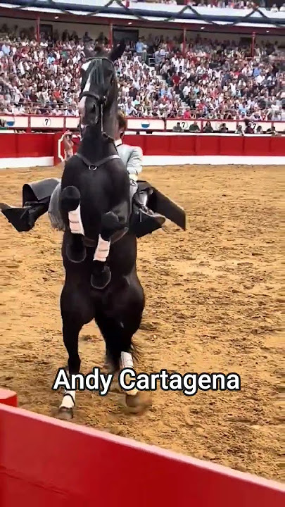Andy Cartagena #toros #tradiciones #tradicion #caballos #cultura #horse