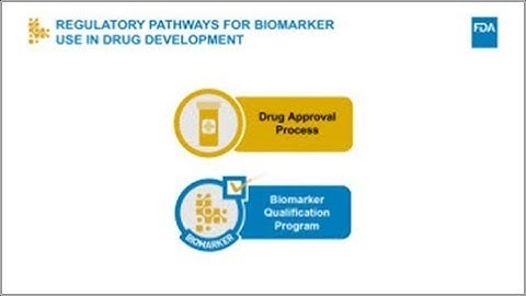 What Does Biomarker Qualification Do (And Not Do)?