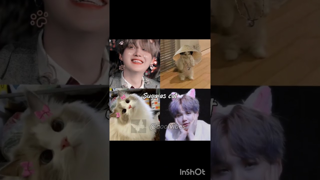 They are so cute 💝🥰 