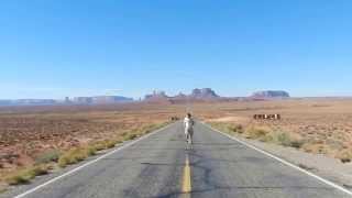 Monument Valley Forest Gump Road